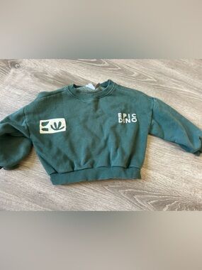 Zara Dark Teal 'Epic Dino' Crewneck Sweatshirt